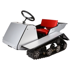 China Kids Snowmobile Manufacture 200cc Camouflage