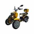 50cc 3 колеса газа скутер мотодельтаплана Motorycycle 