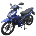 Детеныш Motorcyce 125cc 17