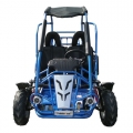 Off road go kart для детей 200cc 