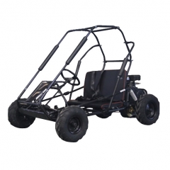 XTM G80S Buggy